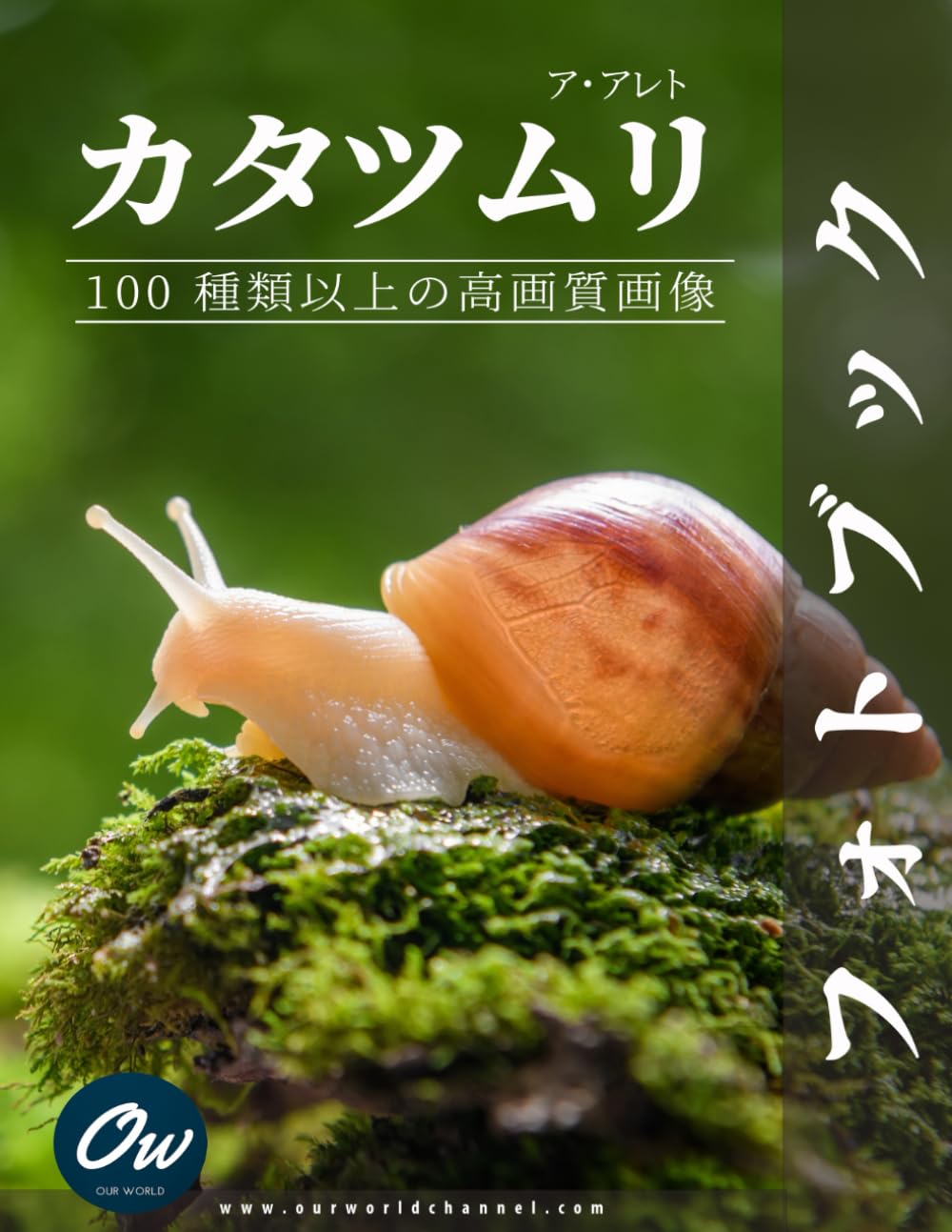 【カタツムリ①】フォトＬサイズ カタツムリ: フォトブック : 100 種類以上の高画質画像 | わたしたちの